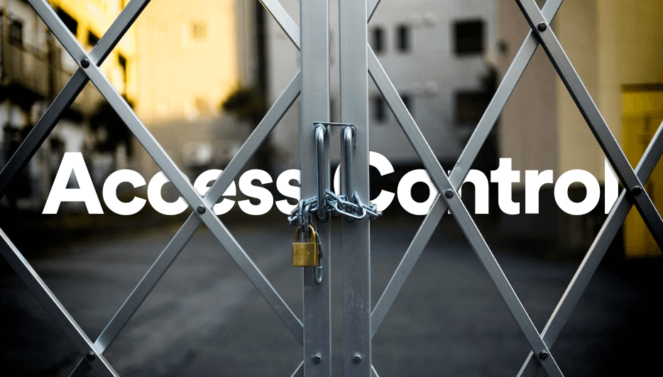 Introducing Organization Access Control