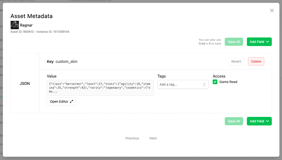 Asset Instance Metadata